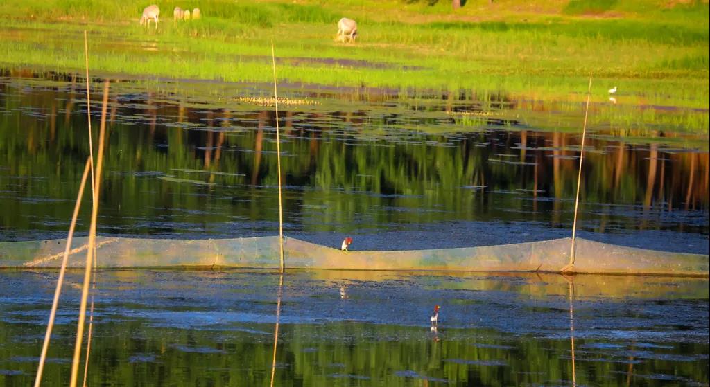 微信图片_20211222112617 微信图片_20211222112617.jpg