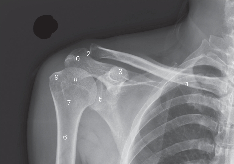 pagenumber_ebook=162,pagenumber_book=153