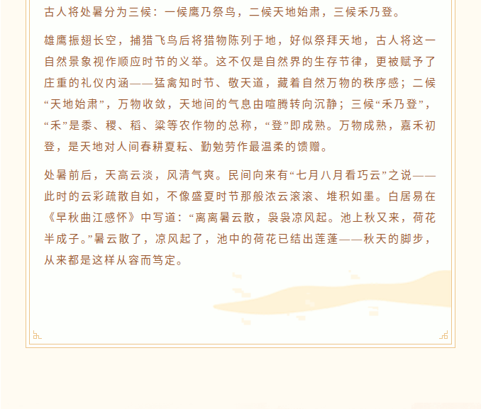 image.png?v=1787517468287