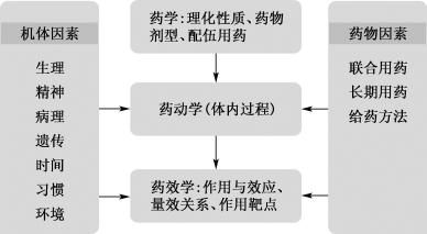 width=338,height=186,dpi=110