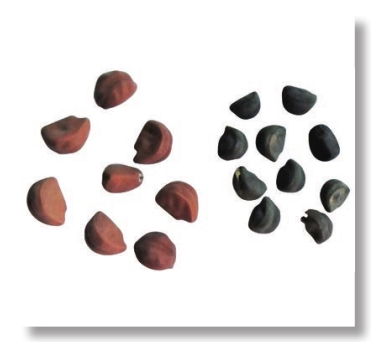 pagenumber_ebook=90,pagenumber_book=77