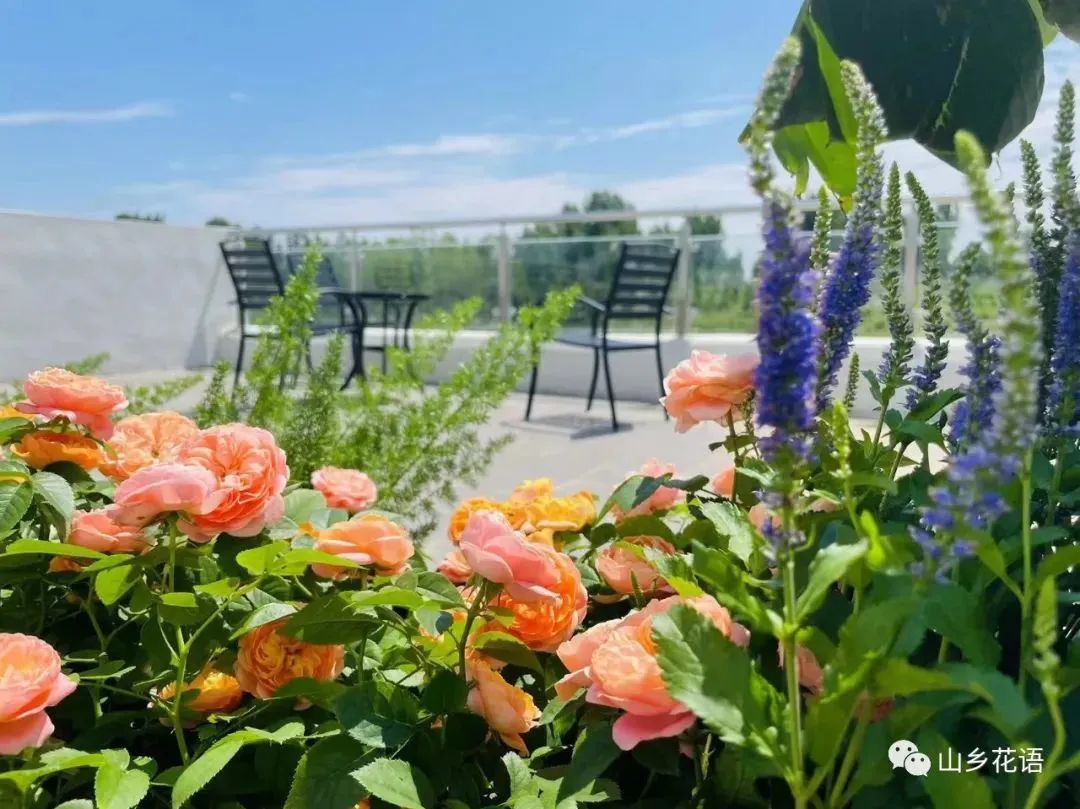 f3cdacdca17eed2c09818e1e59cfde37 f3cdacdca17eed2c09818e1e59cfde37.jpg