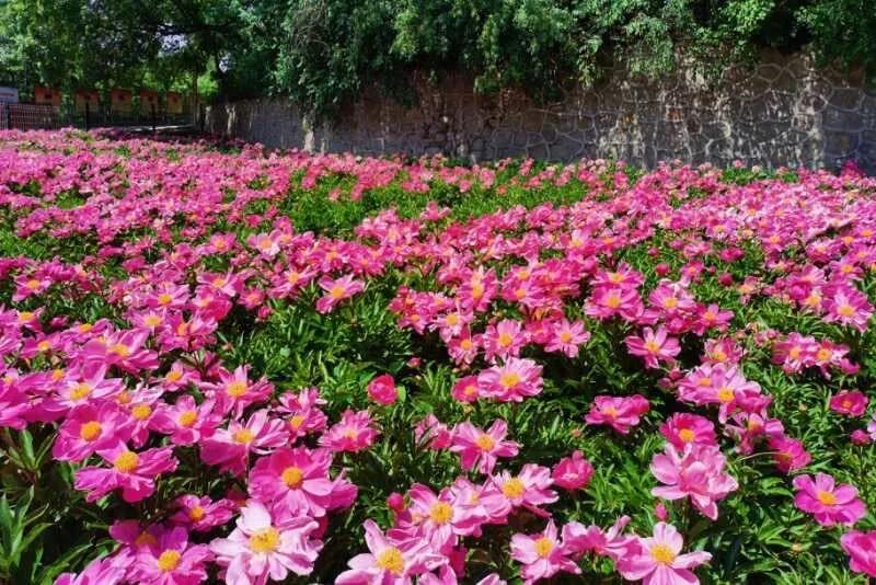 微信图片_20200710134631