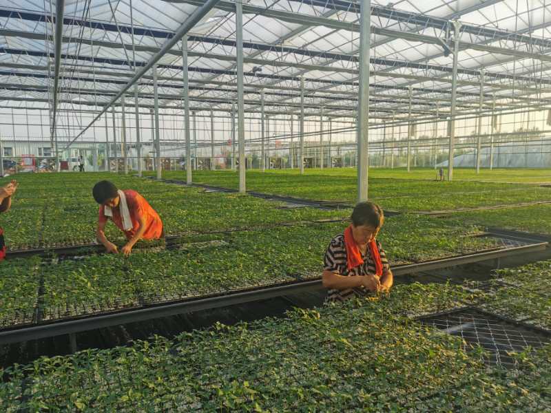 微信图片_20200824090416