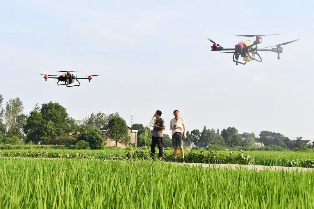 2 2.jpg?v=1765946306360