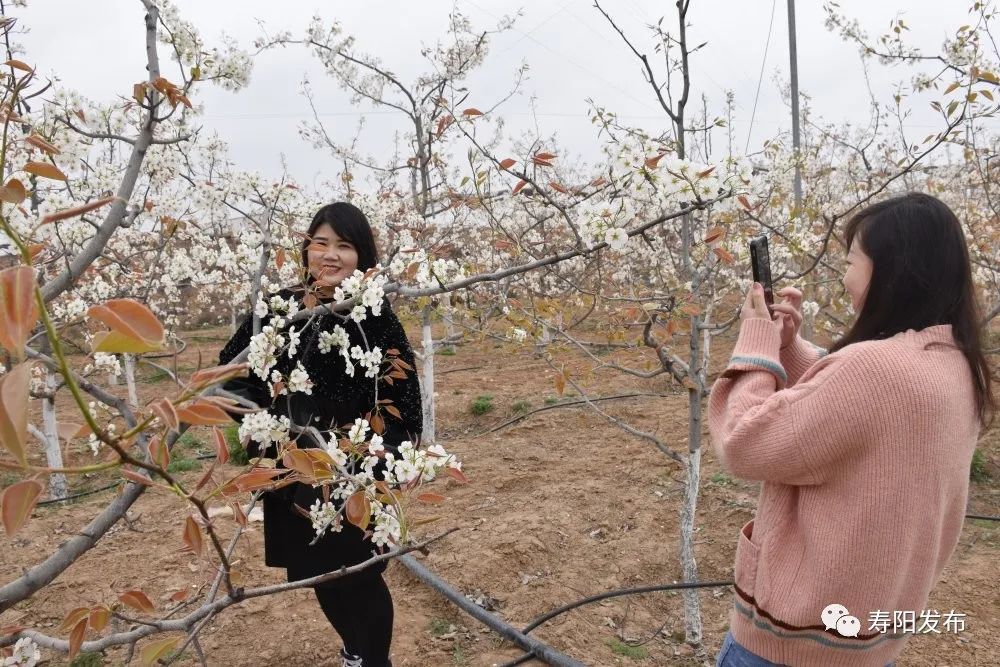 0bc275b5276307bdf171e93b6c775644_640_wx_fmt=jpeg&wxfrom=5&wx_lazy=1&wx_co=1 0bc275b5276307bdf171e93b6c775644_640_wx_fmt=jpeg&wxfrom=5&wx_lazy=1&wx_co=1.jpg