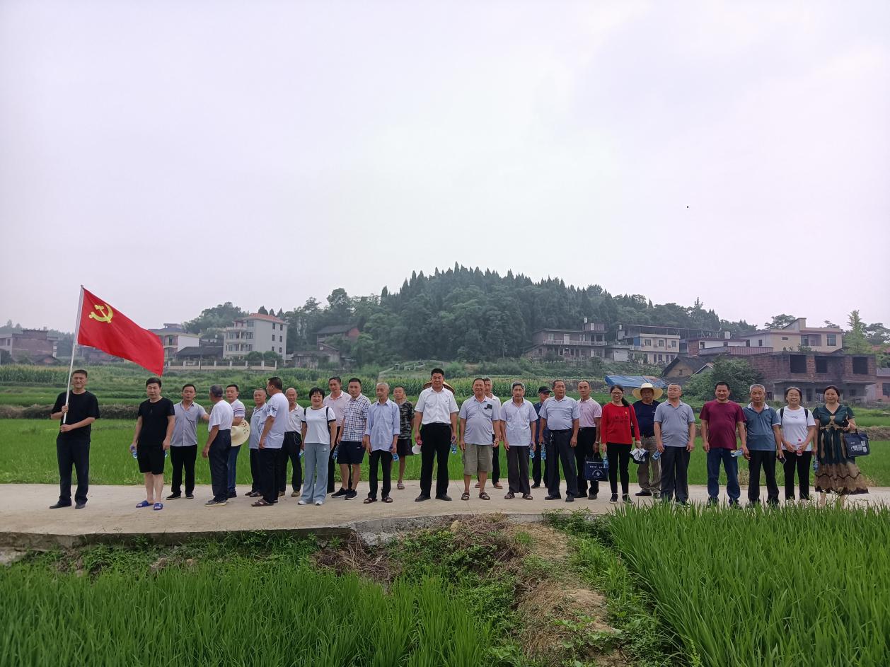 图片31 图片31.jpg