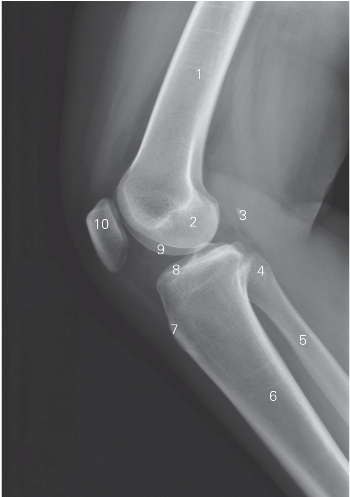 pagenumber_ebook=168,pagenumber_book=159