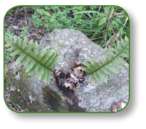 pagenumber_ebook=191,pagenumber_book=178