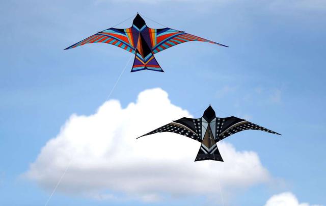 风筝4 风筝4.jpeg