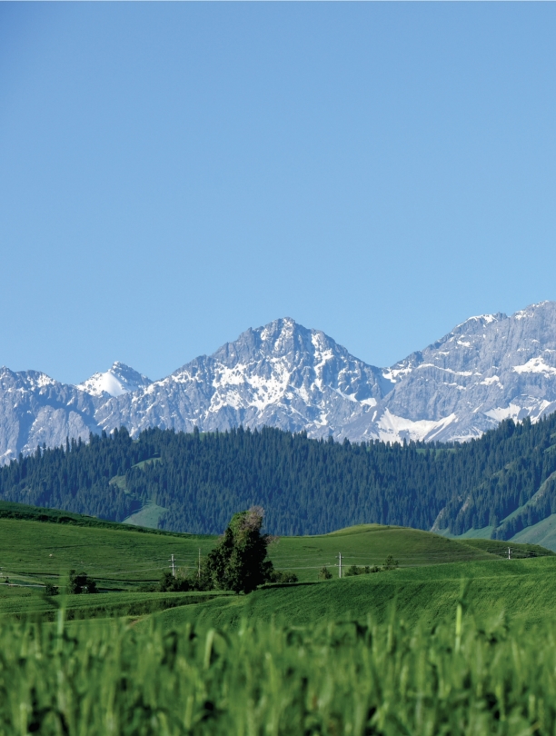 pagenumber_ebook=83,pagenumber_book=72