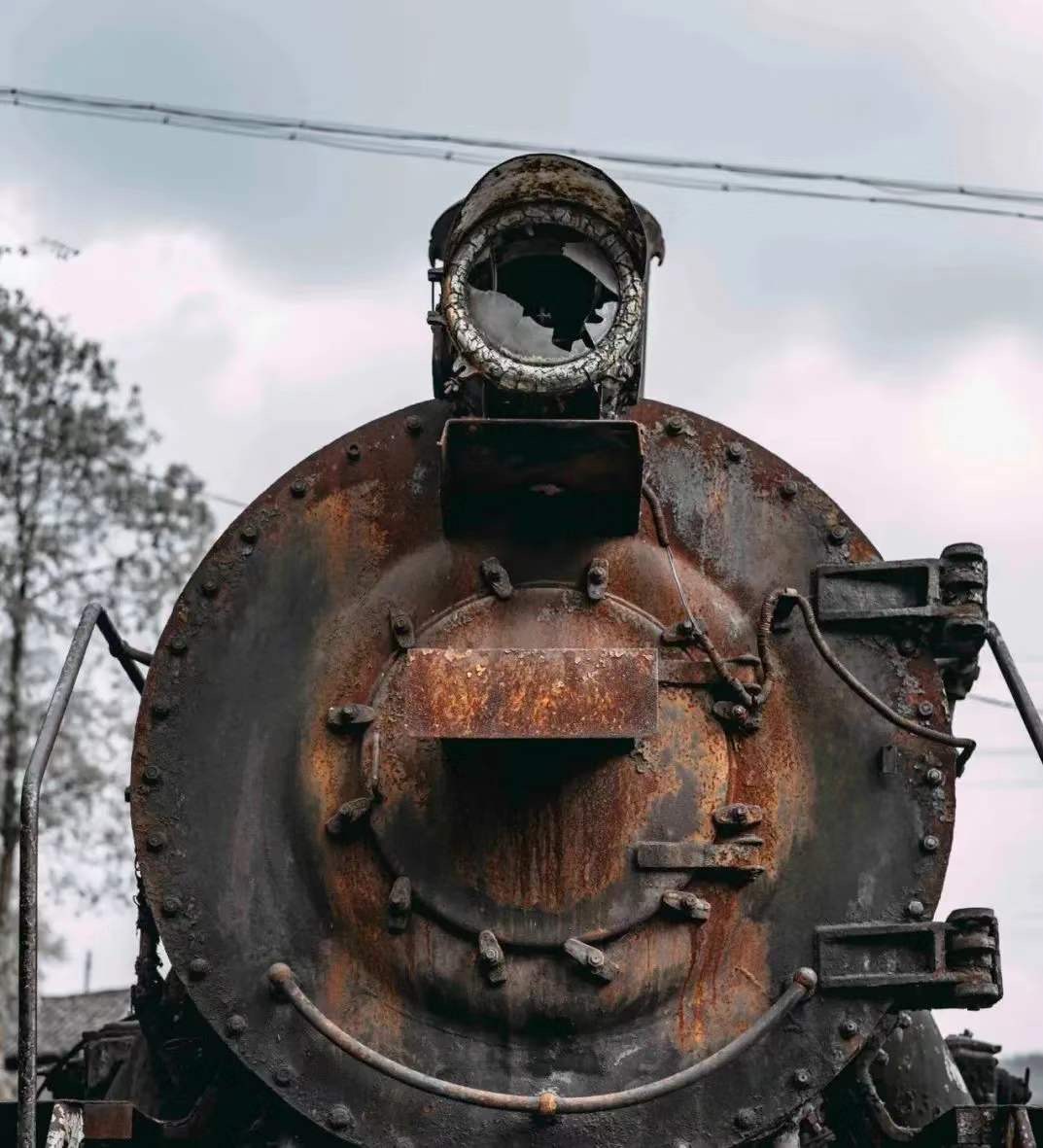 IMG_1432(20200417-105109) IMG_1432(20200417-105109).jpg?v=1765781105416