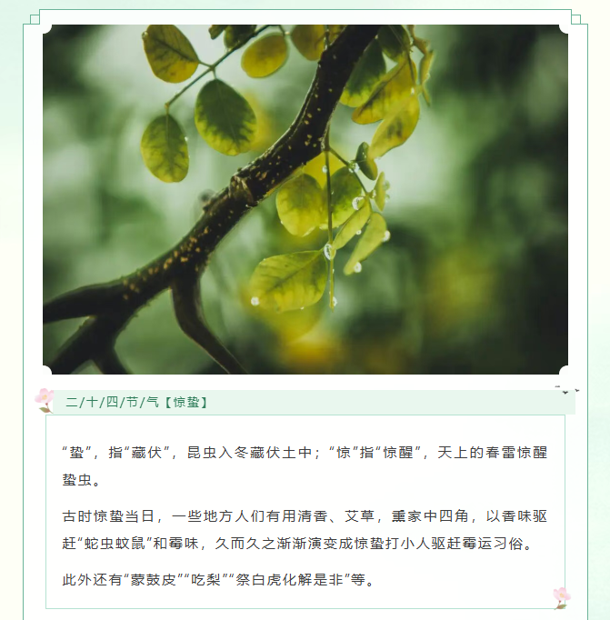 image.png?v=1774110509319