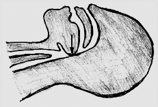 pagenumber_ebook=50,pagenumber_book=37