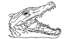 pagenumber_ebook=14,pagenumber_book=5