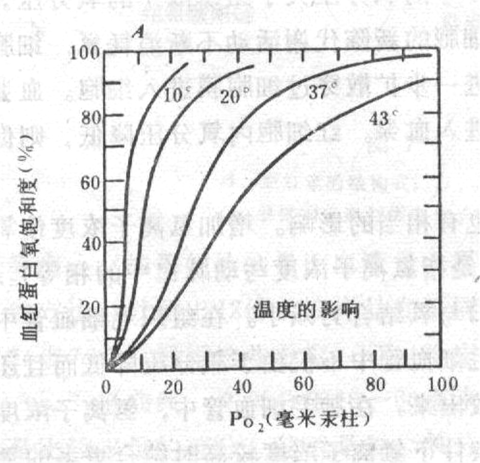 温度高低对氧离曲线的影响.jpg