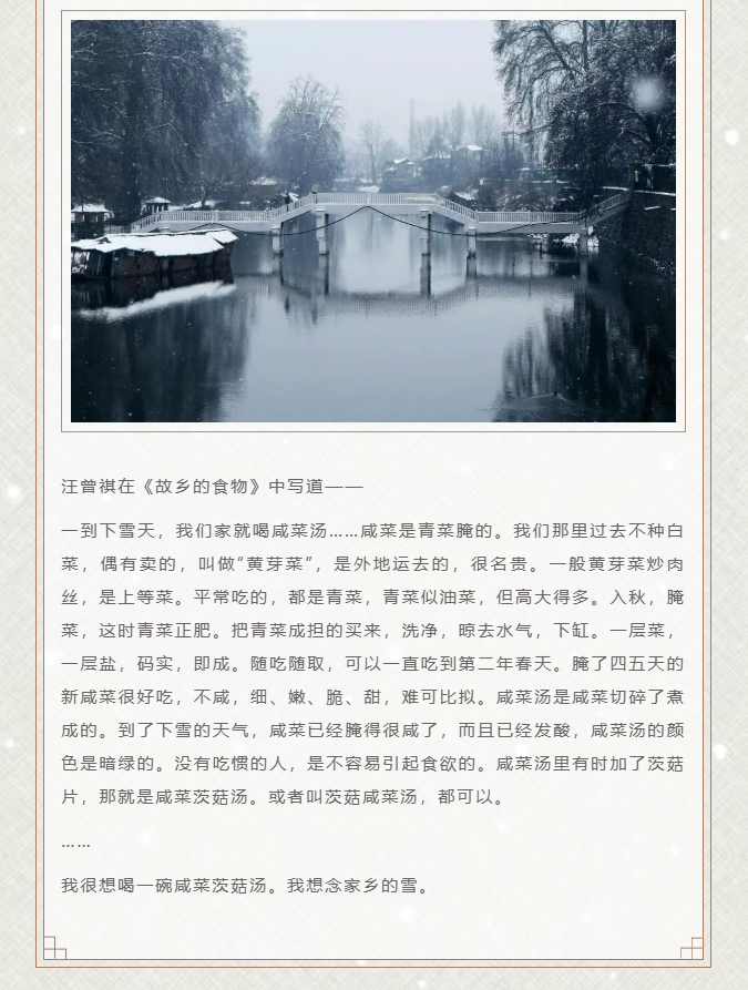 image.png?v=1766232895936