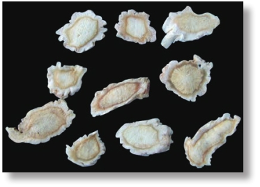 pagenumber_ebook=206,pagenumber_book=193