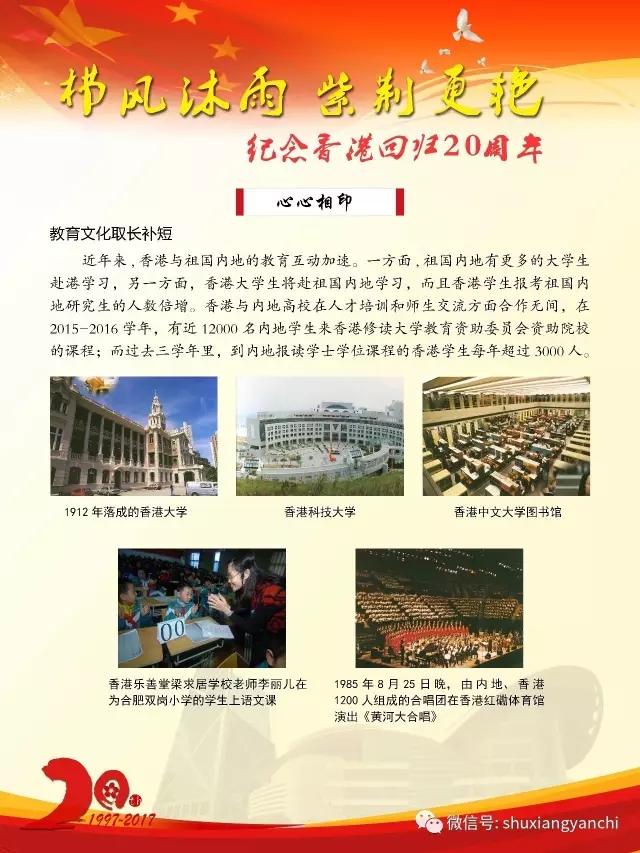 31.webp.jpg?v=1763534244324