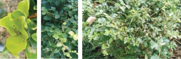 pagenumber_ebook=87,pagenumber_book=79