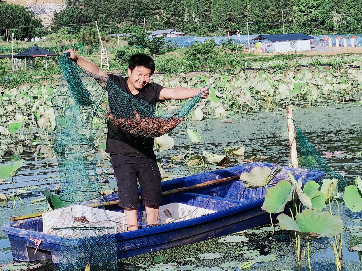 荷花基地 荷花基地.png