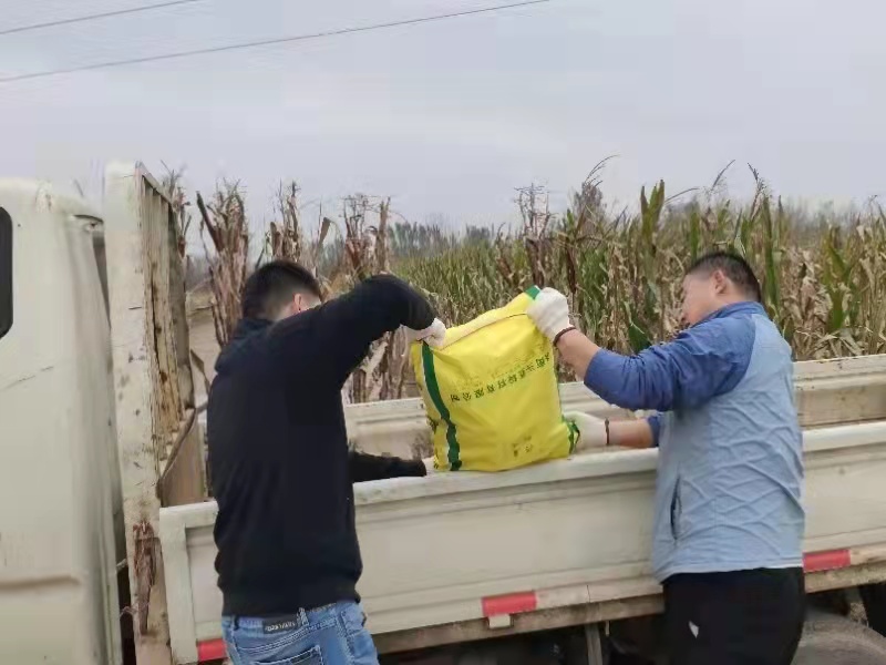 微信图片_202110101124301 微信图片_202110101124301.jpg