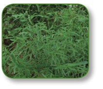 pagenumber_ebook=18,pagenumber_book=5