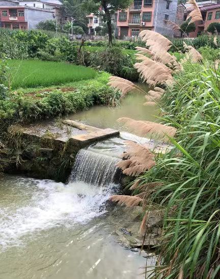 4fe863b41ed3f57d9b13c0d35a54d5c