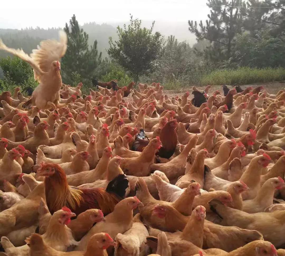 微信图片_20200712020501 微信图片_20200712020501.jpg