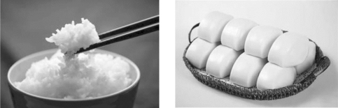 pagenumber_ebook=13,pagenumber_book=13