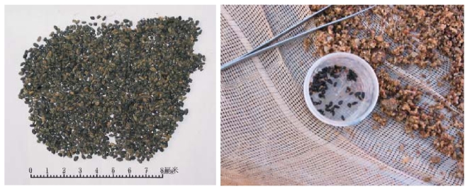 pagenumber_ebook=18,pagenumber_book=8