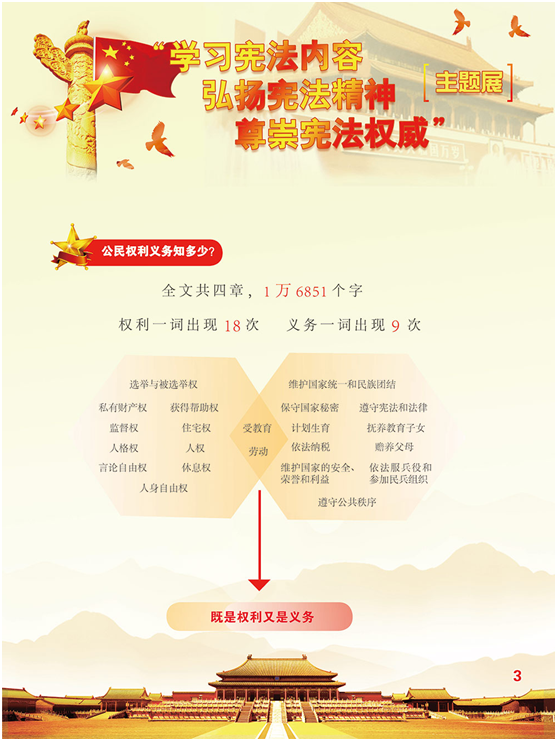 image image.png?v=1762213787587