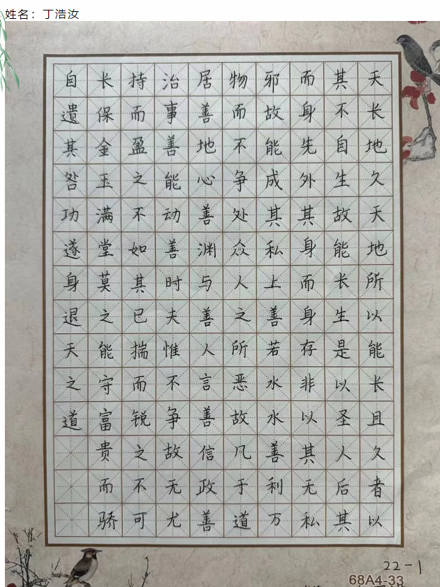 image.png?v=1765670825570