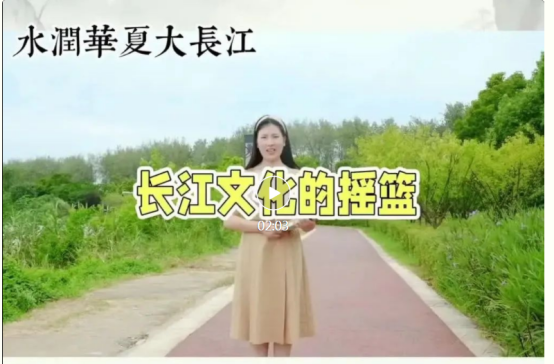 image.png?v=1746141310409