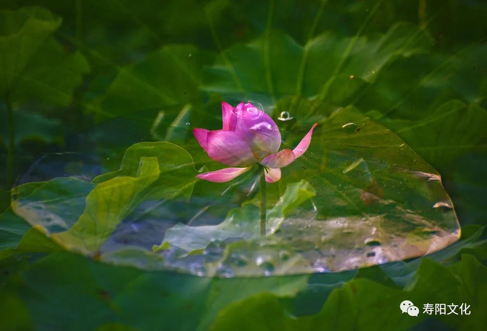 微信图片_20221009095423