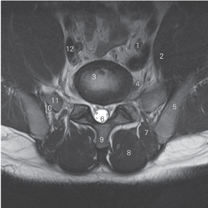 pagenumber_ebook=31,pagenumber_book=22