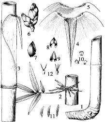 pagenumber_ebook=124,pagenumber_book=124