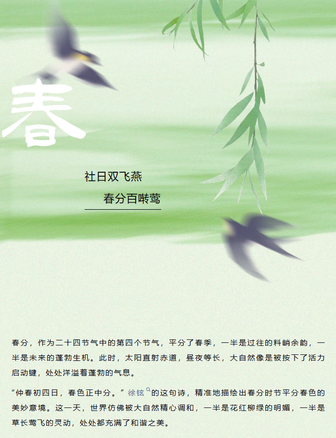 image.png?v=1774105058423