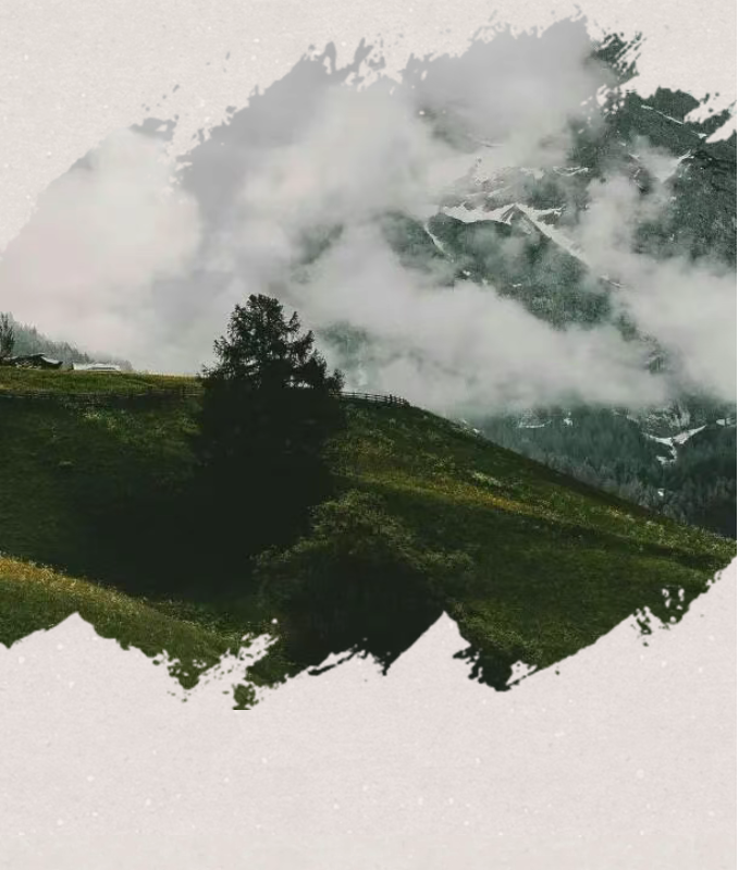 image.png?v=1766232863900