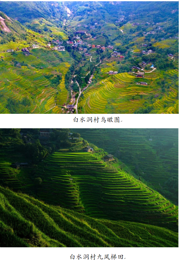 1732242418705 1732242418705.png