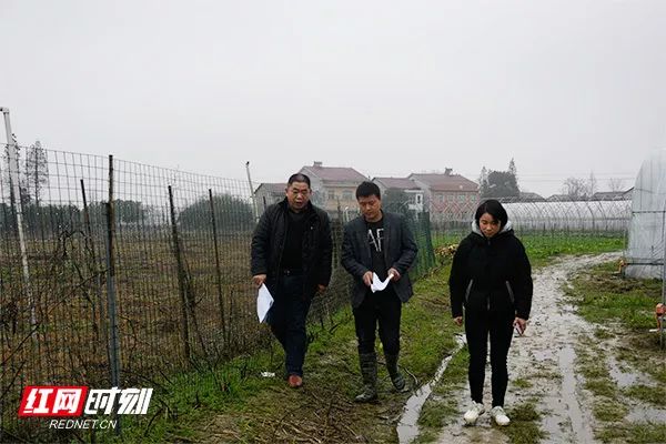 3 3.jpg?v=1765897797061