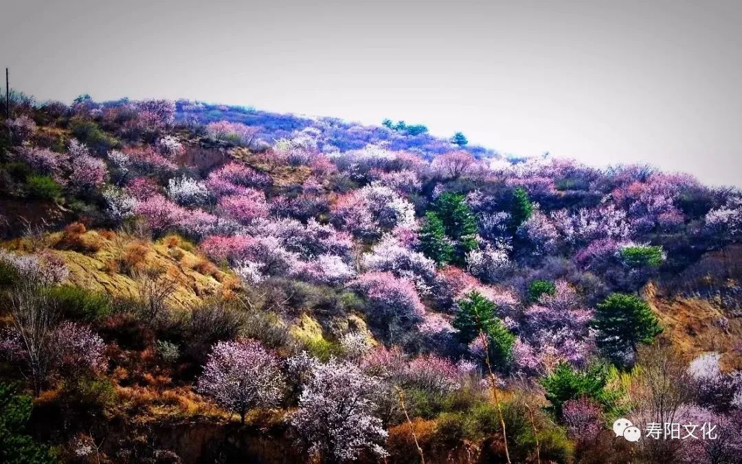 微信图片_20230329163205