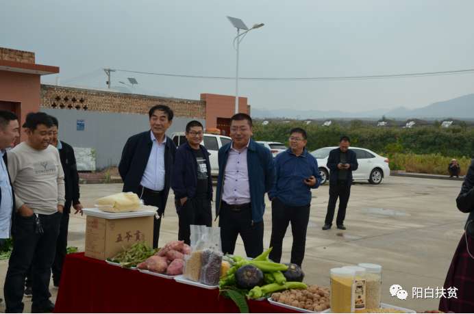 7e393c8d06419e2c793583469e61160 7e393c8d06419e2c793583469e61160