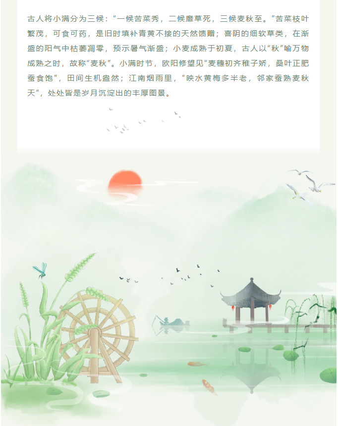 image.png?v=1780832900752