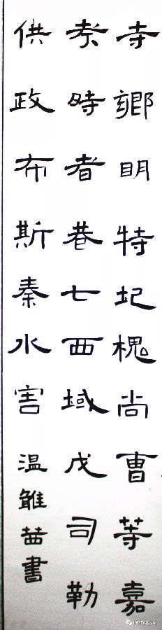 640.webp (16).jpg?v=1764880113128