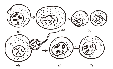 pagenumber_ebook=239,pagenumber_book=235