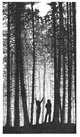 pagenumber_ebook=344,pagenumber_book=341