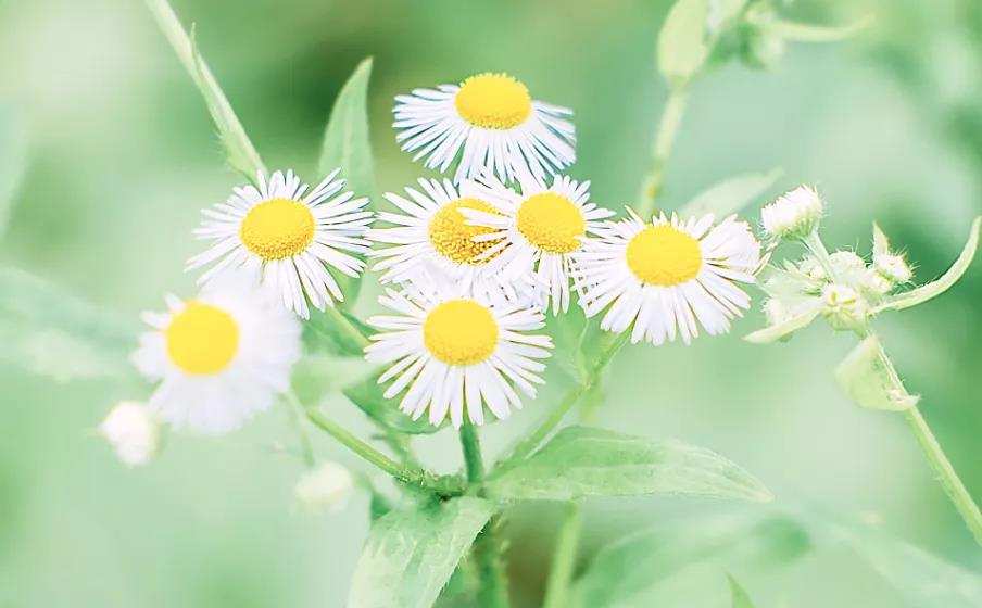 微信图片_20211207094831 微信图片_20211207094831.jpg