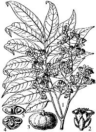 pagenumber_ebook=89,pagenumber_book=89