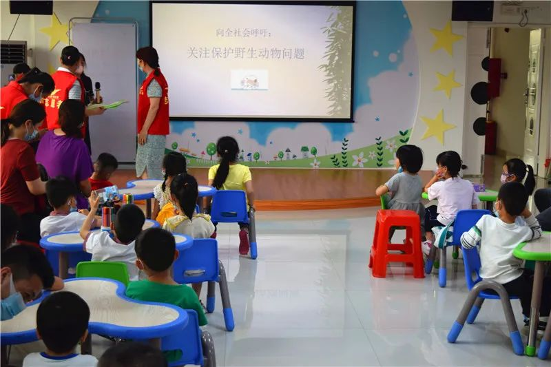 图片7 图片7.png?v=1772887537204